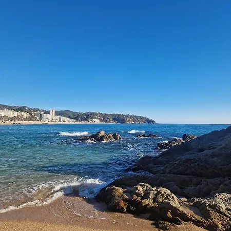 Design In Apartment Blanes